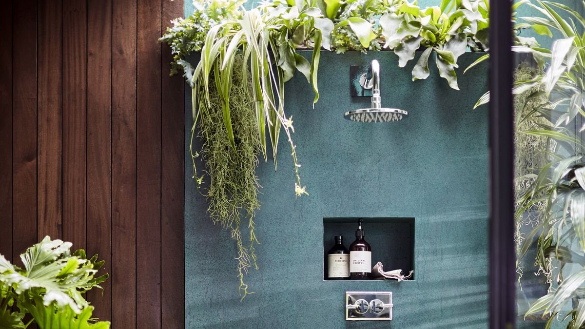 Your ultimate guide to bringing plants into your home - cover