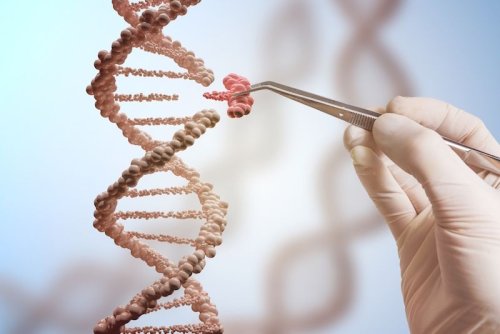 10 Amazing Things Scientists Just Did with CRISPR