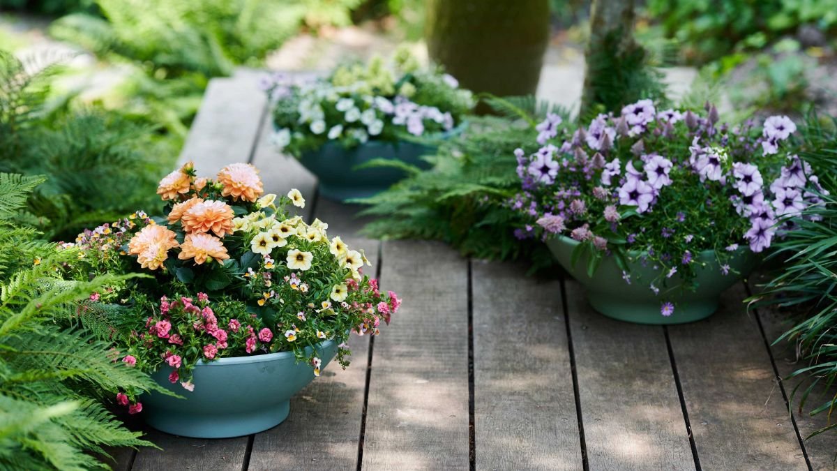 Best flowers for pots in shade – 7 container gardening options that thrive in less sunny spots