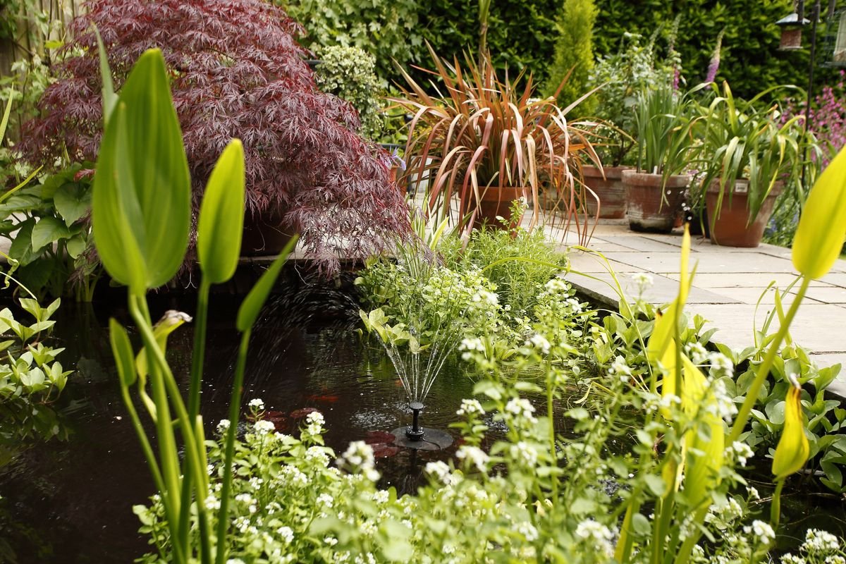 Follow our step-by-step guide on how to build a garden pond
