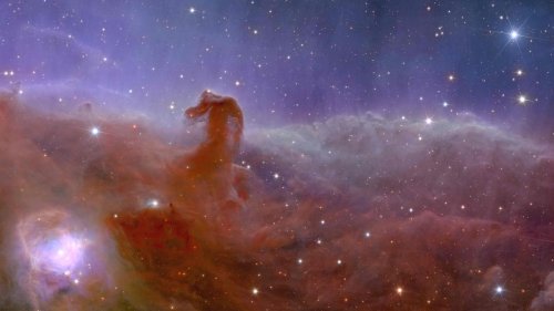 Science News Images:  Illuminating This Week's Breakthroughs and Wonders