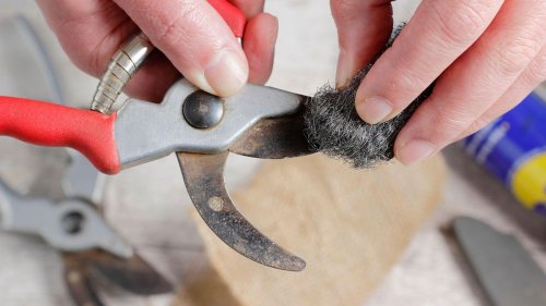 How to clean and sharpen pruning shears – expert tips for tools that look as good as new