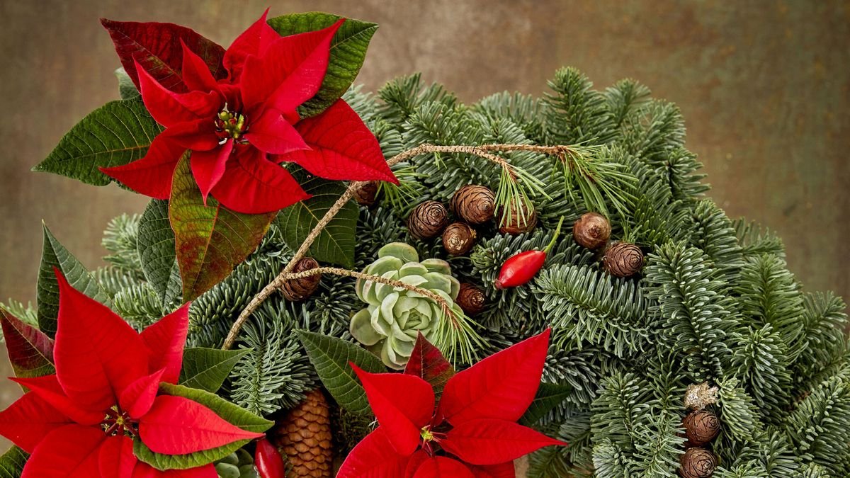 How to make a poinsettia wreath for front doors and porches