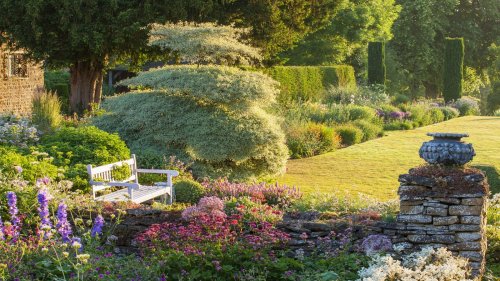 9 underrated trees that can make a huge impact – discover why they deserve a spot in your garden