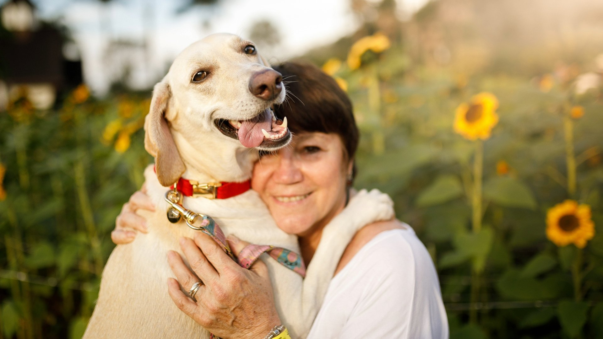 Caring for a senior dog? I’m a dog behaviorist and these are my 10 top tips