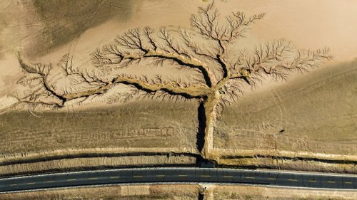 Stunning aerial image wins The Nature Conservancy 2022 Photo Contest