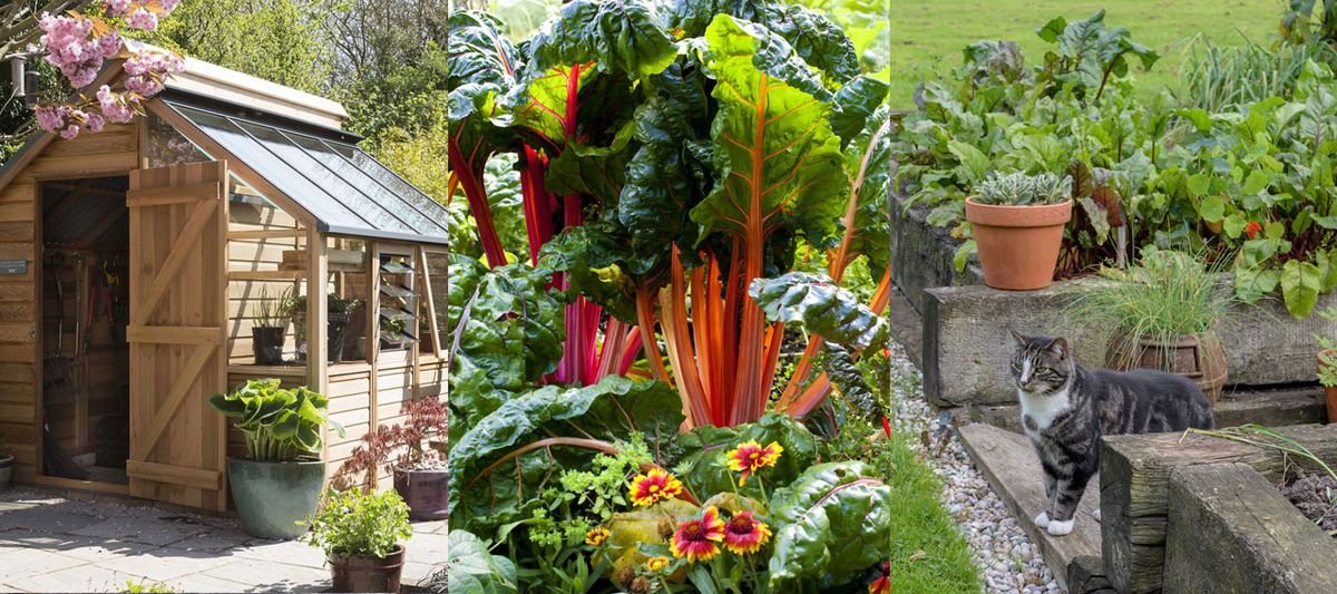 Small vegetable garden ideas – 15 ways to maximize your space