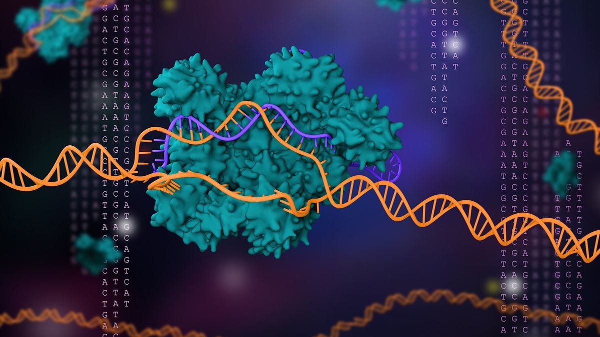 188 new types of CRISPR revealed by algorithm