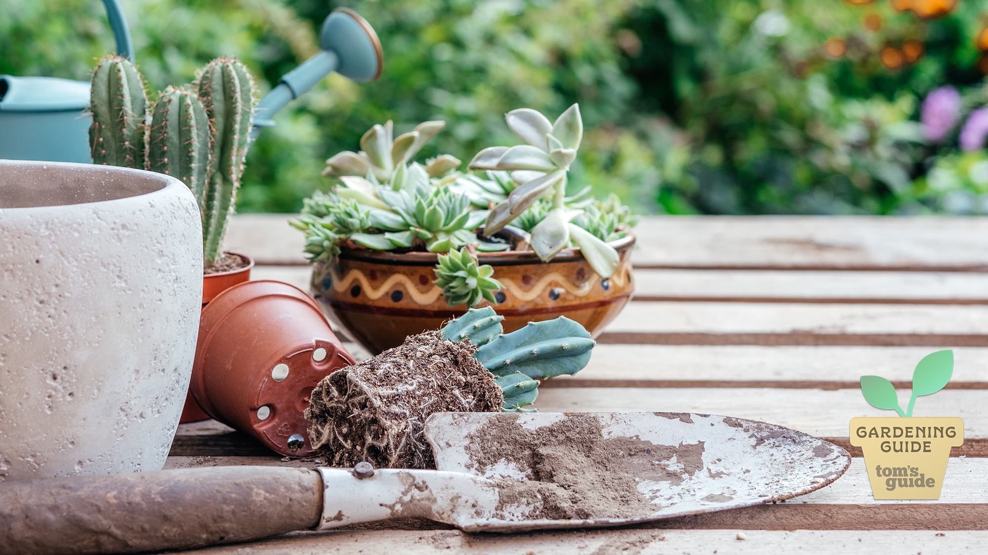 I love to garden, and these are the 7 tools I use all the time