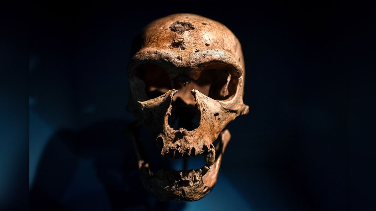 'It haunts all our imaginations': Were Neanderthals really like us?