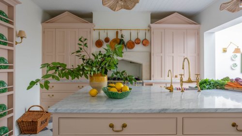 Setting Plaster vs. Dead Salmon – what's the difference between these iconic Farrow & Ball pink paints?