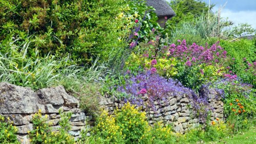 Plants for retaining walls: 12 ways to brighten your boundary | Flipboard