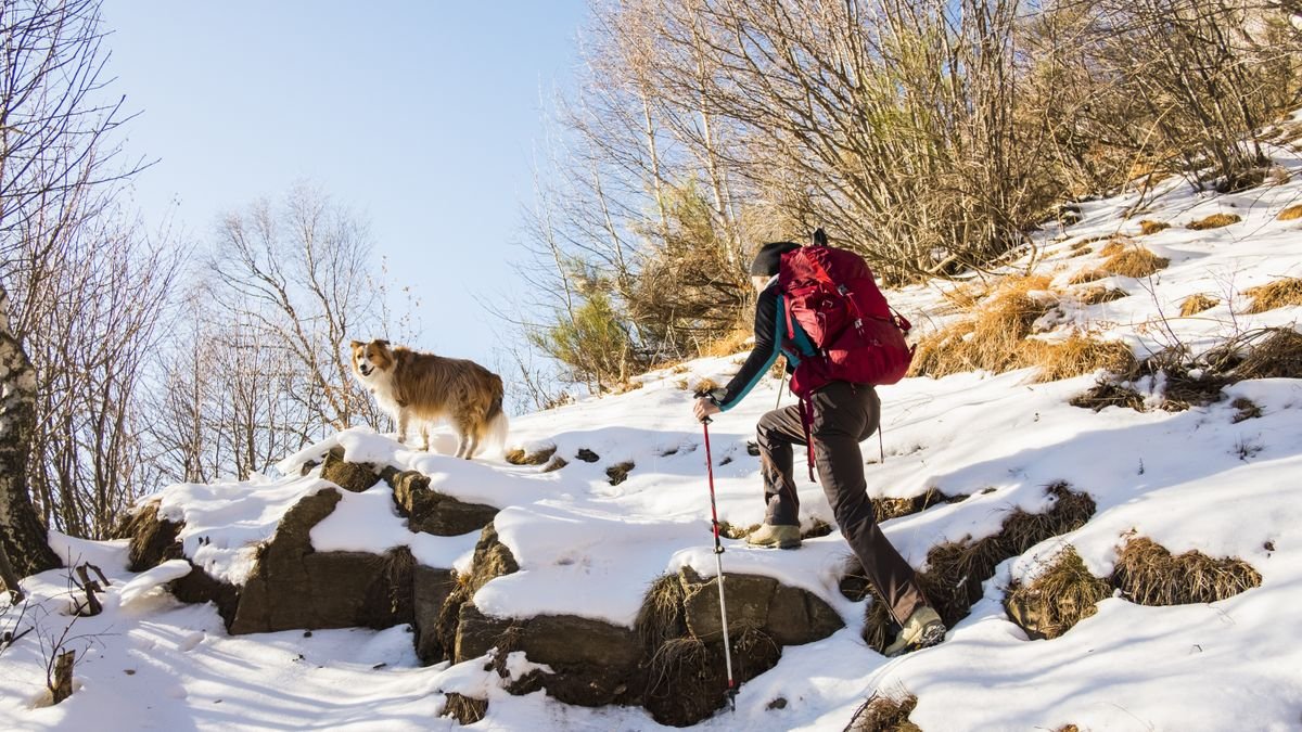 10 winter hiking safety tips