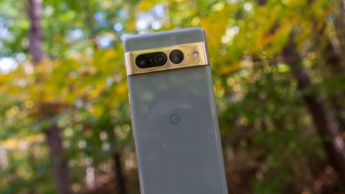 Google shouldn't release the Pixel 8