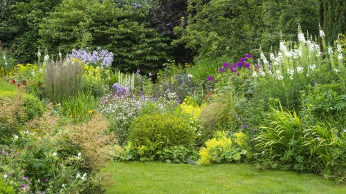 The one thing you need to do now for beautiful summer borders, according to Monty Don