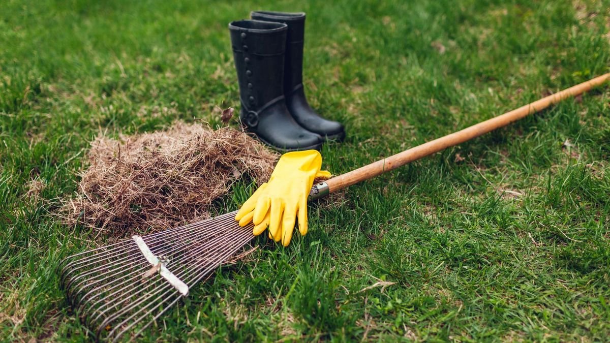 How to dethatch a lawn – and how to prevent thatch forming