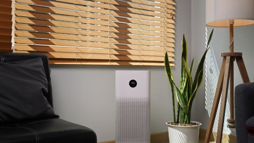 Best air purifiers for allergies 2022: Top-rated purifiers to help you breathe easier