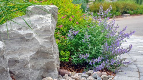 How to clean landscaping rocks: simple steps for sprucing up the stones in your plot