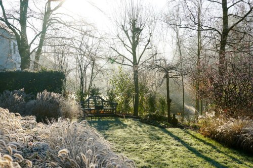 'Do them before it's too late!' - 10 backyard tasks to complete before the first ground frost