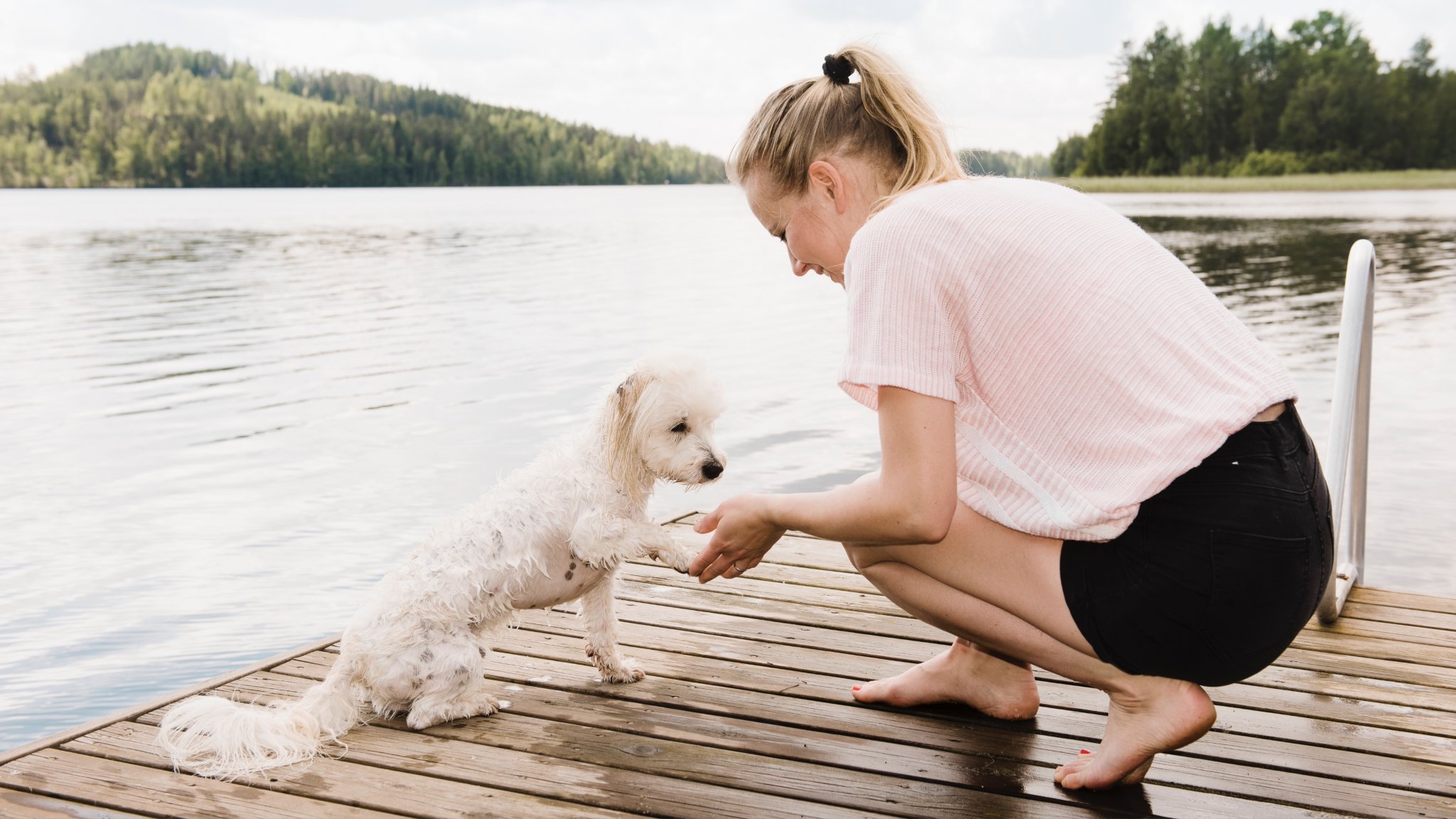 Trainer reveals the secret to a successful training session with your dog