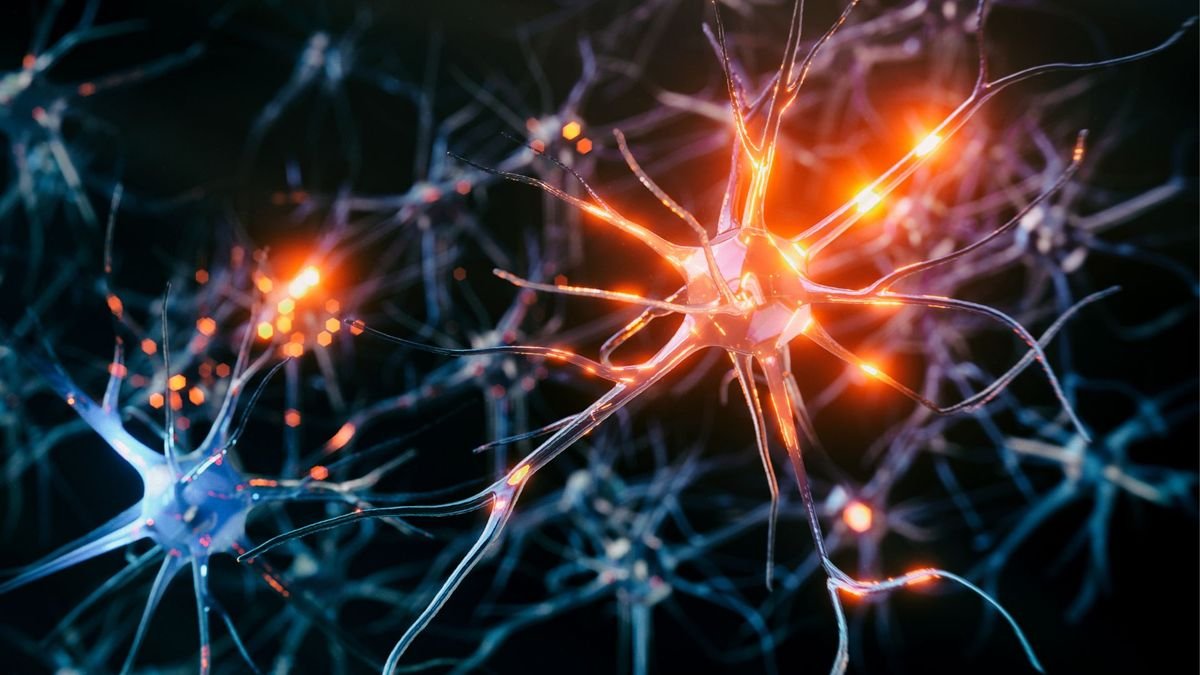 Brain cells gone haywire during sleep may lead to chronic pain, mouse study suggests