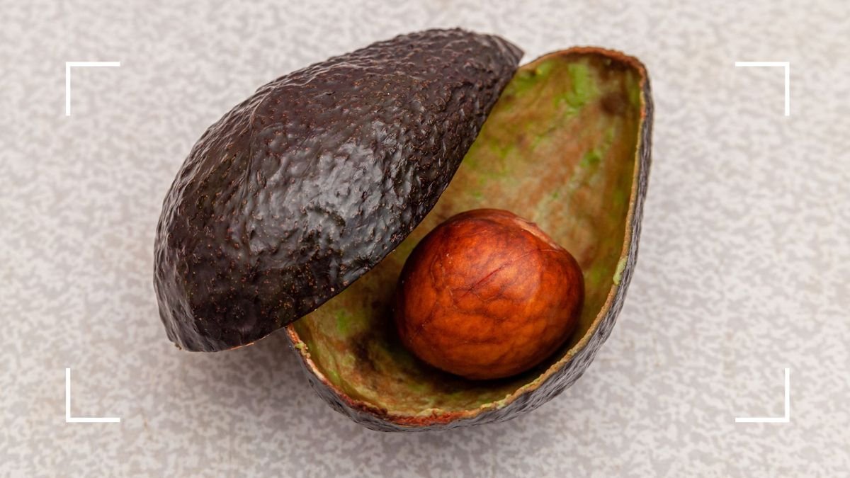 How to use avocados in your garden - 3 ways to benefit from skin and stone nutrients to boost plants