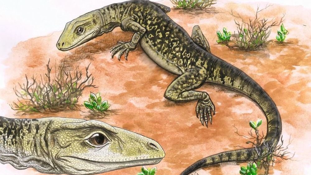 Ancient lizard with teeth like butcher knives 're-calibrates the whole shebang' of reptile evolution