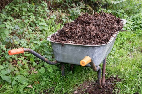 How to make compost: 7 steps to make your own at home