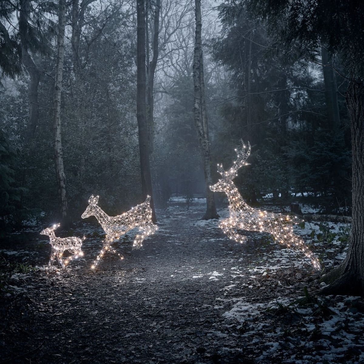 Where to buy Christmas lights – the best places for stunning indoor and outdoor lights