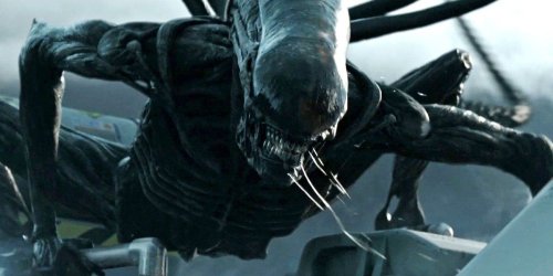 FX’s Alien: 9 Questions We Have About The Recently Announced Horror Sci-Fi Series