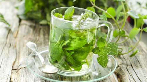 How to grow your own herbal tea: guide to creating a tea garden