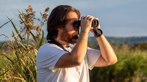Best binoculars for bird-watching 2025