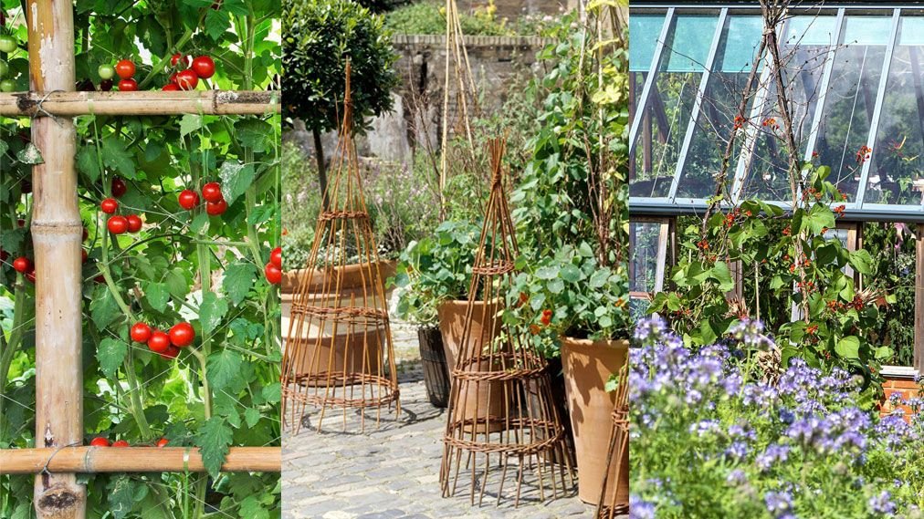 Vegetable garden trellis ideas – 18 ways to maximize your home harvest