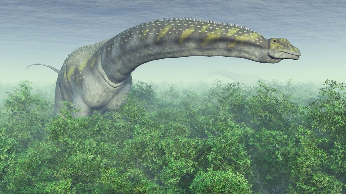 Are there any giant animals humans haven't discovered yet?