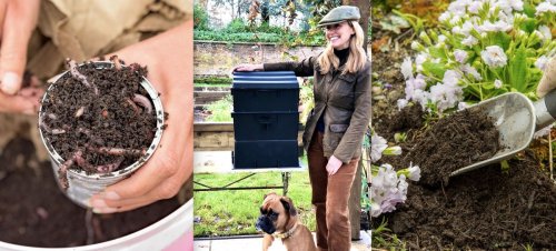 Why I wanted a wormery for compost – and how it's transformed my veg patch
