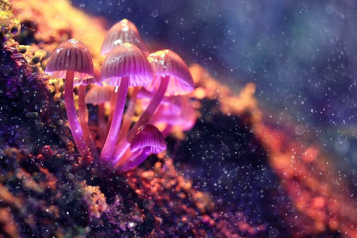 Hallucinogen in 'magic mushrooms' relieves depression in largest clinical trial to date