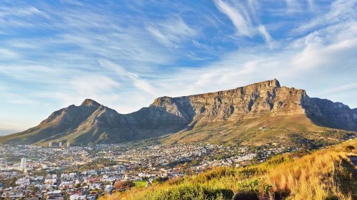 Table Mountain mugger falls to his death after being pepper-sprayed by hiker