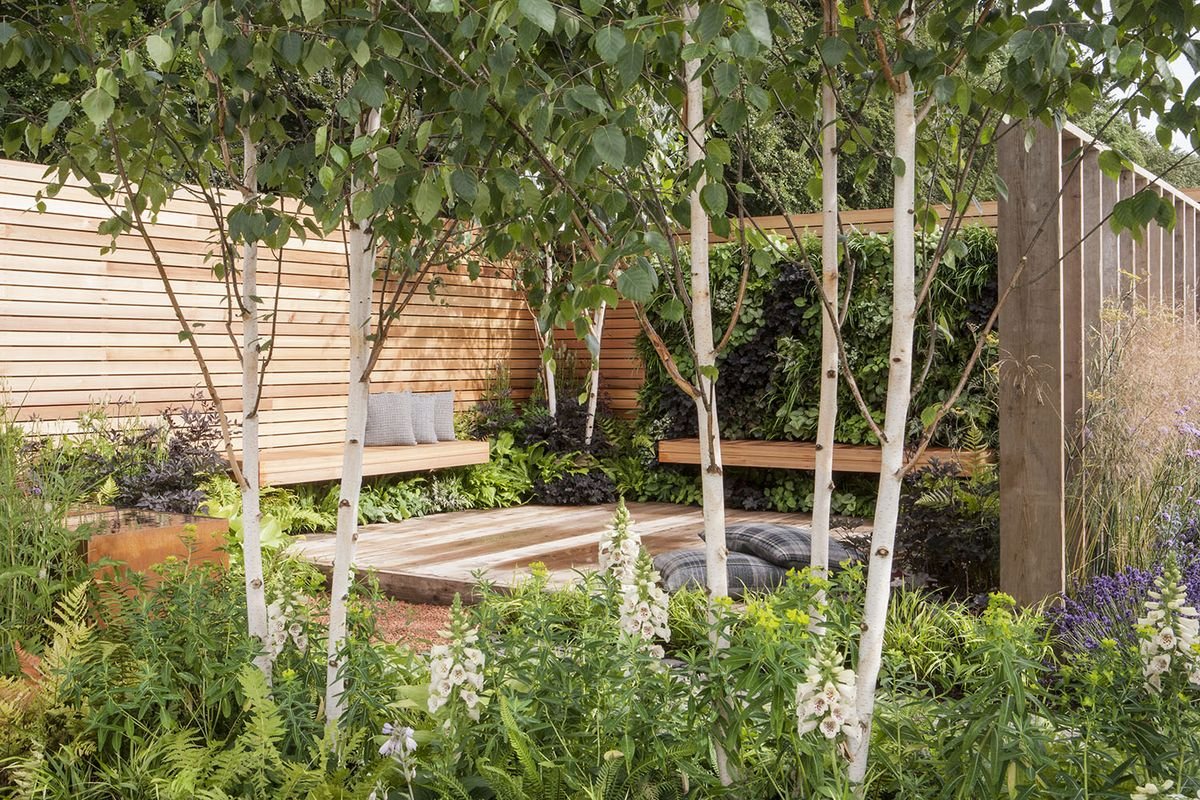 Terrace garden ideas - landscapers share their best ways to elevate an urban space