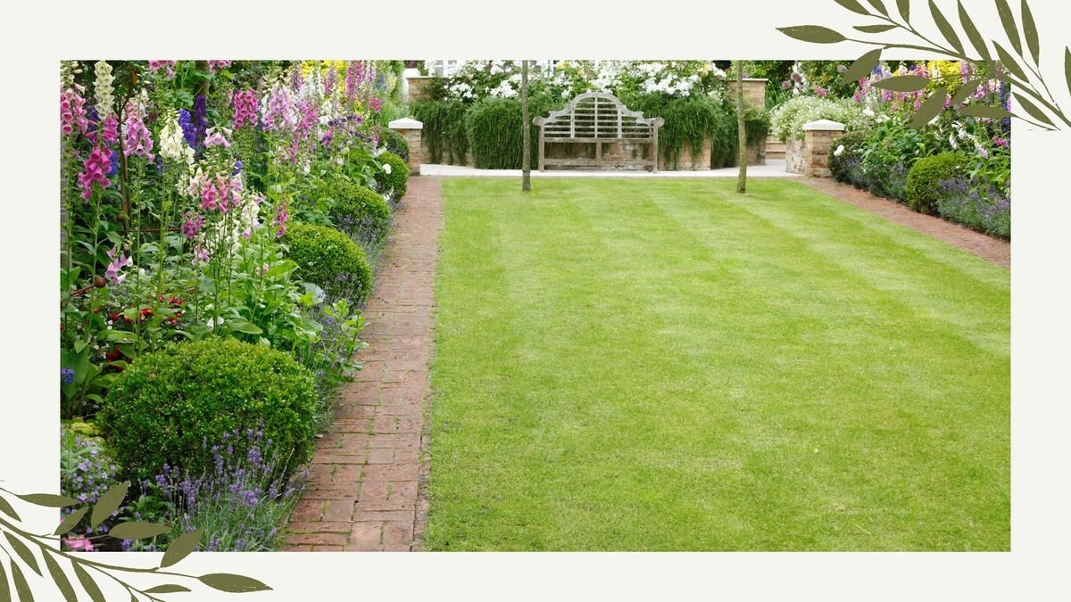Experts explain if you can scarify a wet lawn – and whether to mow before or after