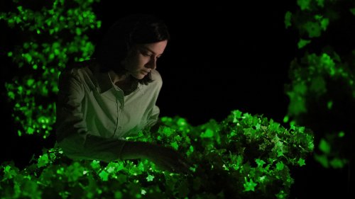 'Glow-in-the-dark' petunias are the latest innovation taking over garden trends – it's making magical yard lighting a reality in the US