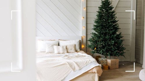 Your ultimate guide to Christmas trees