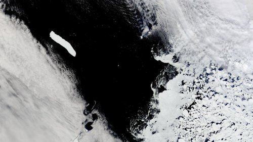 World’s largest iceberg is getting swept away from Antarctica to its doom, satellite image shows