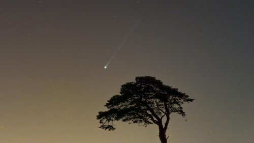 Amazing photos of 'horned' comet 12P/Pons-Brooks from around the world