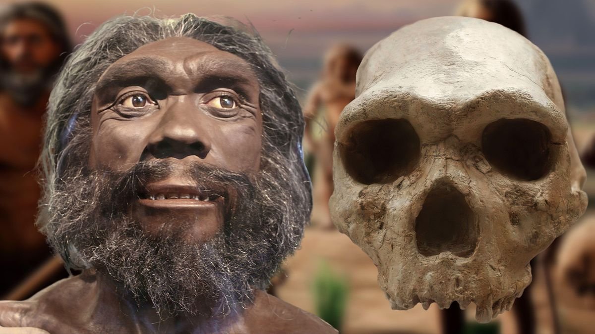 Our mixed-up human family: 8 human relatives that went extinct (and 1 that didn't)
