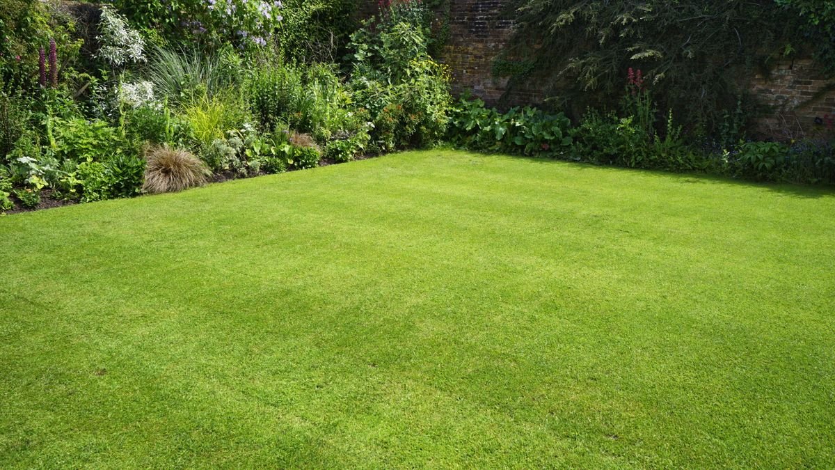I'm a lawn care expert, and always do these 7 jobs in April to ensure thick, green grass all summer long