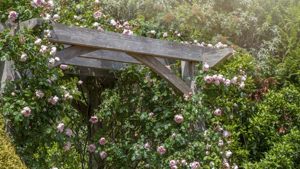Follow our step-by-step guide on how to build a pergola