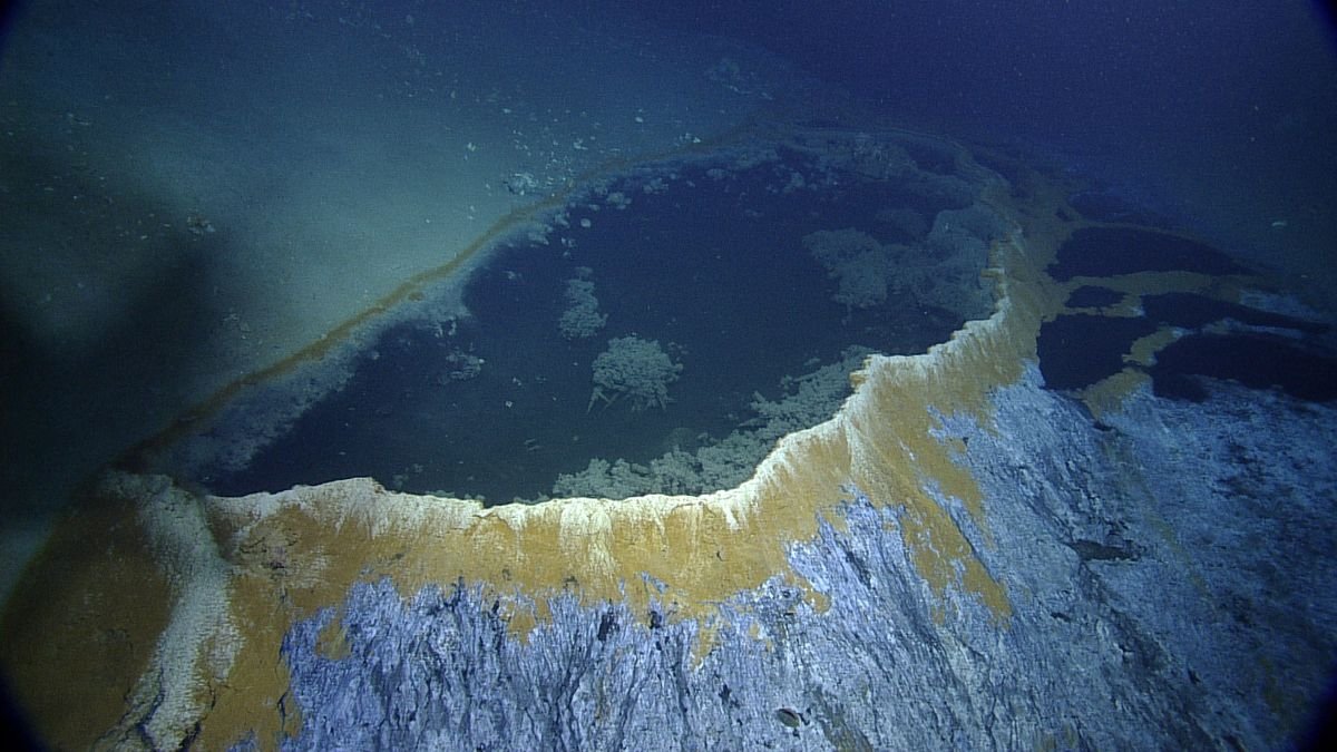 Fascinating, yet Terrifying: Deep-sea Discoveries to Know