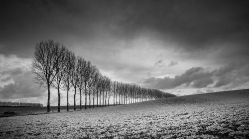 How to master black and white photography