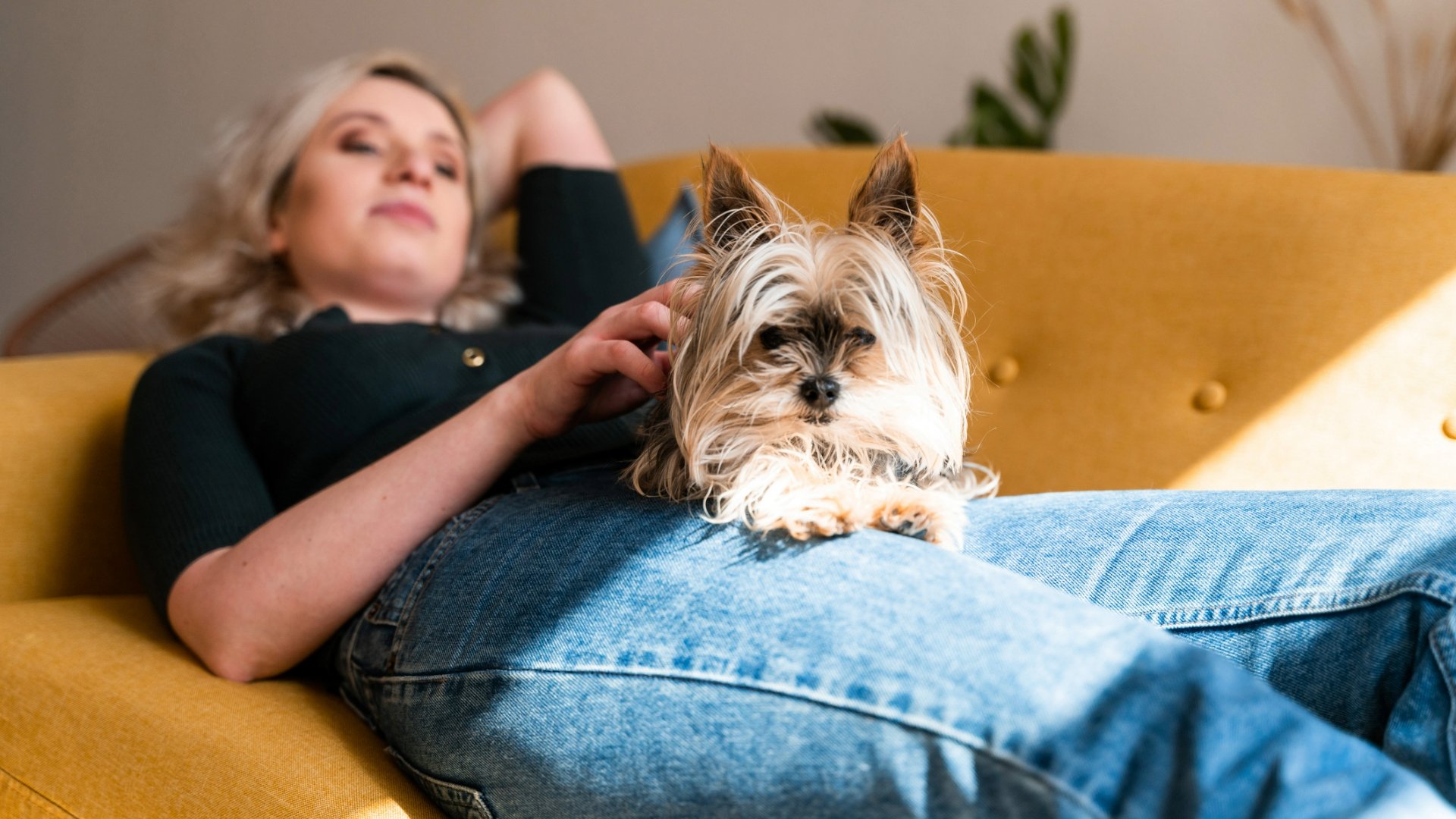 Why does my dog lay on top of me? A vet has the answer