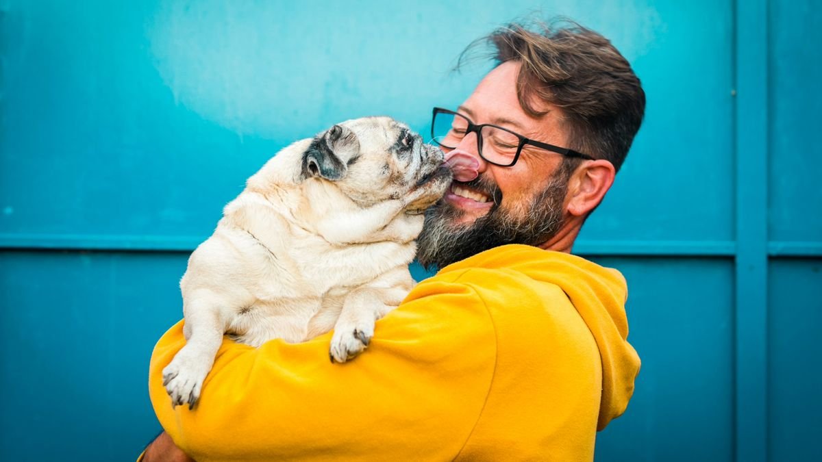 The 18 friendliest dog breeds that are perfect for families